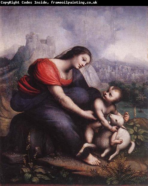 Cesare da Sesto Madonna and Child with the Lamb of God
